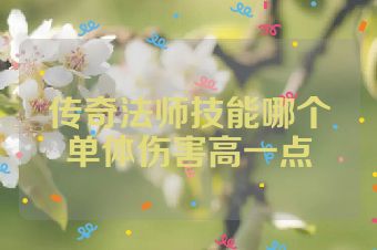 传奇法师技能哪个单体伤害高一点