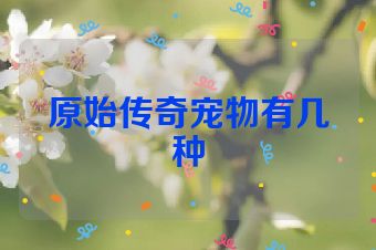 原始传奇宠物有几种