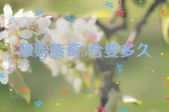原始传奇5合要多久