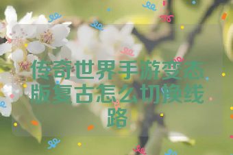 传奇世界手游变态版复古怎么切换线路
