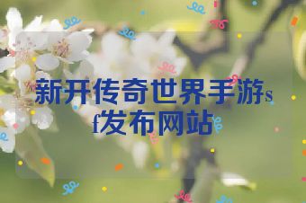 新开传奇世界手游sf发布网站