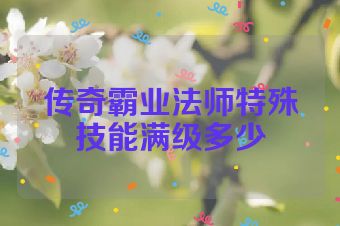 传奇霸业法师特殊技能满级多少