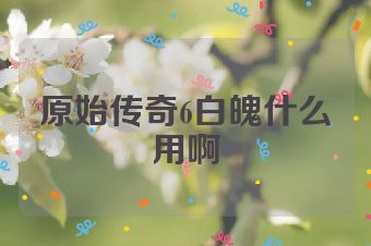 原始传奇6白魄什么用啊