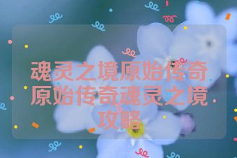 魂灵之境原始传奇原始传奇魂灵之境攻略