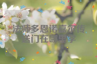法师多恩诺嘉尔传送门在哪里学