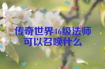 传奇世界46级法师可以召唤什么