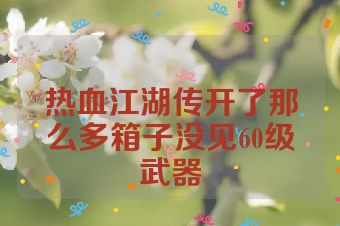 热血江湖传开了那么多箱子没见60级武器