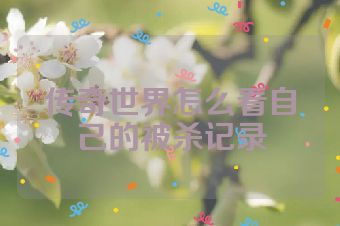 传奇世界怎么看自己的被杀记录