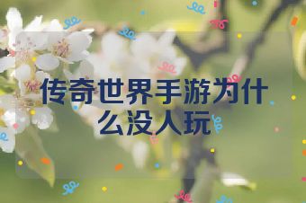 传奇世界手游为什么没人玩