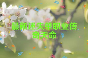 最新迷失单职业传奇天命