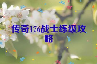 传奇176战士练级攻略