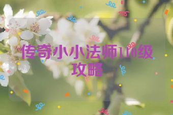传奇小小法师110级攻略