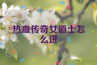 热血传奇女道士怎么进