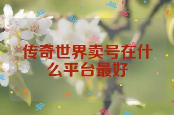 传奇世界卖号在什么平台最好