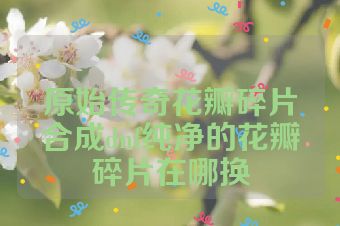 原始传奇花瓣碎片合成dnf纯净的花瓣碎片在哪换