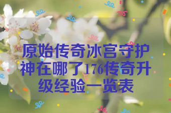 原始传奇冰宫守护神在哪了176传奇升级经验一览表