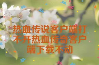 热血传说客户端打不开热血传奇客户端下载不动