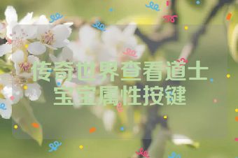 传奇世界查看道士宝宝属性按键