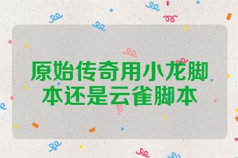 原始传奇用小龙脚本还是云雀脚本