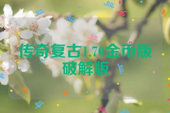 传奇复古1.70金币版破解版