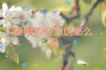 原始传奇大区怎么看