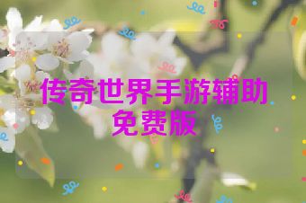 传奇世界手游辅助免费版