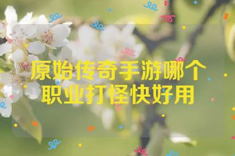 原始传奇手游哪个职业打怪快好用