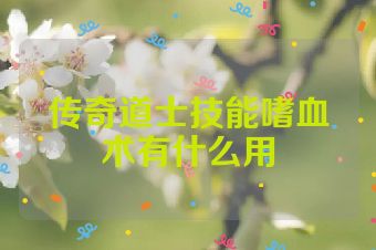传奇道士技能嗜血术有什么用