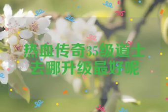 热血传奇35级道士去哪升级最好呢