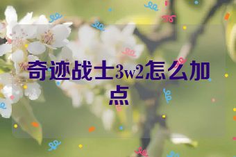 奇迹战士3w2怎么加点