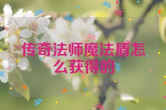 传奇法师魔法盾怎么获得的