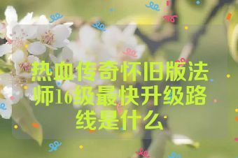 热血传奇怀旧版法师16级最快升级路线是什么