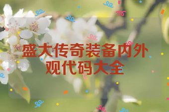 盛大传奇装备内外观代码大全