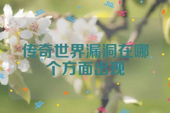 传奇世界漏洞在哪个方面出现