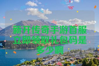 新开传奇手游首服立即领取礼包码是多少啊