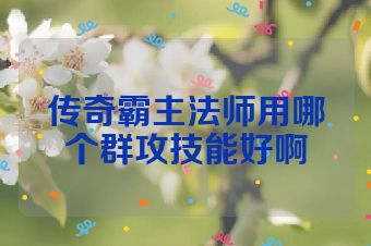 传奇霸主法师用哪个群攻技能好啊