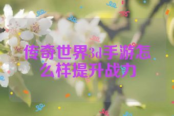 传奇世界3d手游怎么样提升战力
