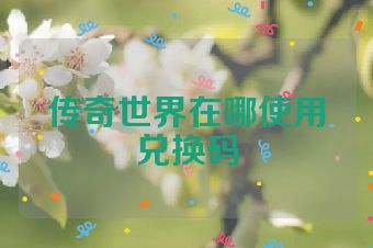 传奇世界在哪使用兑换码