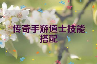 传奇手游道士技能搭配