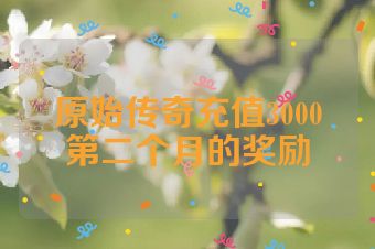 原始传奇充值3000第二个月的奖励