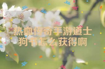 热血传奇手游道士狗书怎么获得啊