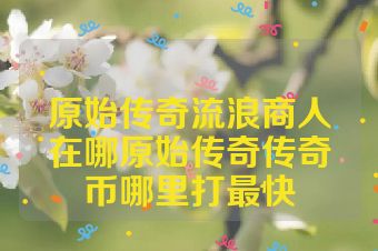 原始传奇流浪商人在哪原始传奇传奇币哪里打最快