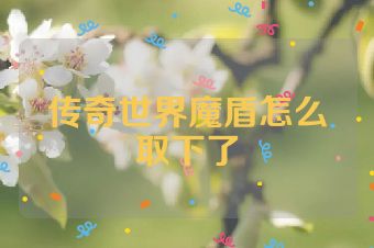 传奇世界魔盾怎么取下了