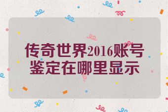 传奇世界2016账号鉴定在哪里显示