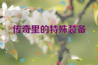 传奇里的特殊装备