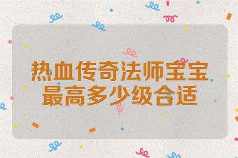 热血传奇法师宝宝最高多少级合适