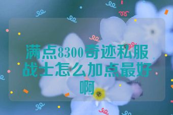 满点8300奇迹私服战士怎么加点最好啊