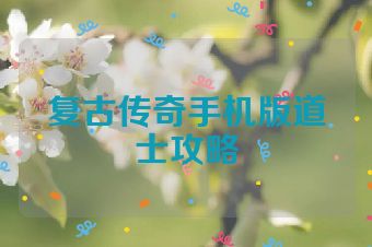 复古传奇手机版道士攻略