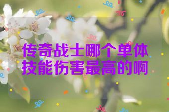 传奇战士哪个单体技能伤害最高的啊
