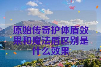 原始传奇护体盾效果和魔法盾区别是什么效果